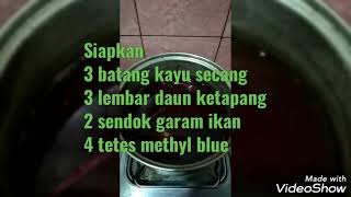 Download Lagu Tutorial Membuat ekstrak kayu secang (obat kuat ikan cupang) MP3