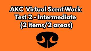 AKC Virtual Scent Work - Intermediate Test 2 - Two Items/Two Areas  #akcdogs #scentwork #dogs