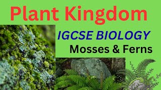 IGCSE Biology: Mosses vs Ferns (Super Easy Explanation!)
