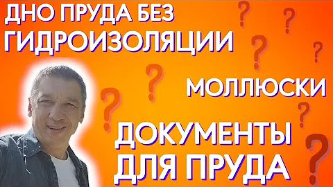 Дно пруда без гидроизоляции. Моллюски. Документы для пруда