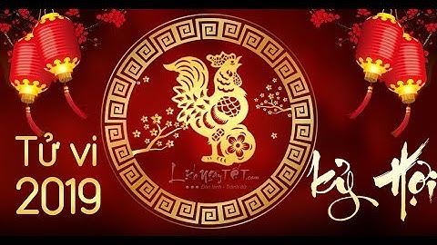 Tử Vi Tuổi Dậu 2019 Kỷ Hợi Vận Trình Tốt Xấu Ra Sao Xem Ngay Đừng Bỏ Lỡ - Tử Vi 12 Con Giáp