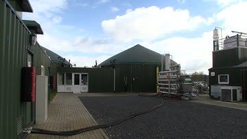 VideoFrieseOnderneming2015