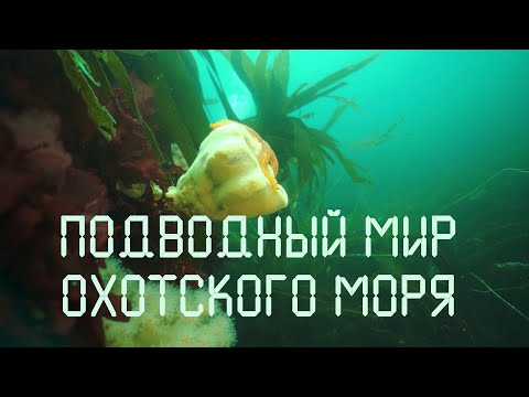 Дальний Восток. Магадан. Охотское море. Nature of Russia.