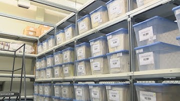 Two suspects charged in first case from rape kit backlog analysis
