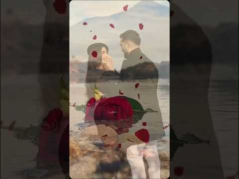 هاني شاكر انا تايه