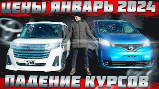 Откат цен! Что и по чем приходит из Японии. PROBOX за 800 или NV200?