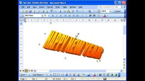 Hướng dẫn sử dụng project 2003