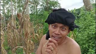 Dongkoy &Tongbens