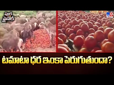 Tomato  Prices : టమాటా ధర ఇంకా పెరుగుతుందా? - TV9 - TV9