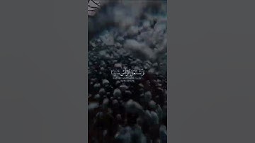 حالات واتس قرآن|القارئ ياسر الزيلعي