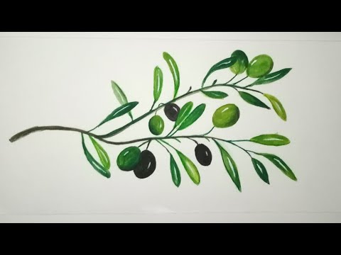 أسهل طريقة لرسم غصن الزيتون بالصباغة المائية