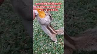 #SaveAnimals#AnimalCare#AnimalRescue#AnimalFriends#InstaAnimals#WildlifeLove#StreetAnimals