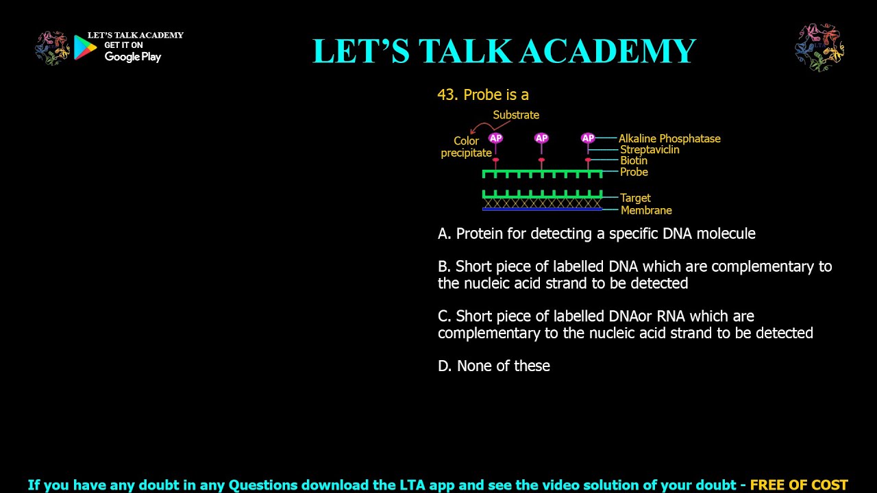 ✅ What is a Probe? Role in DNA & RNA Detection!