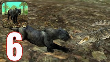 Wild Panther Sim 3D - Gameplay Walkthrough Part 6 - Hunting Crocodiles (iOS, Android)