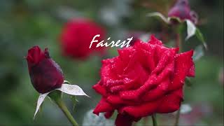 Fairest - UPPERROOM - Lyrics