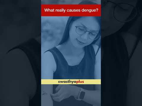 What really causes Dengue? | Dr Archana Sanjay Deshpande | #Shorts