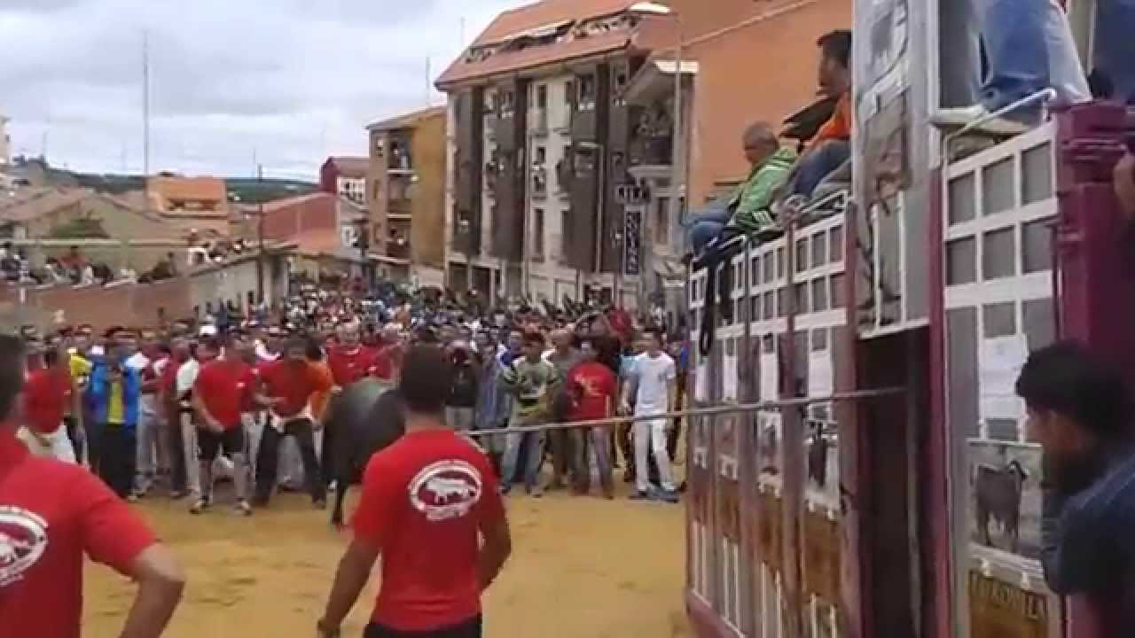 XI CONGRESO NACIONAL TORO DE CUERDA BENAVENTE 2014