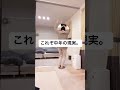 日ハムファンの夫をキツネダンスで起こして喜ぶか検証 #潜在意識 #量子力学 #宇宙法則 #マインドコーチyuko