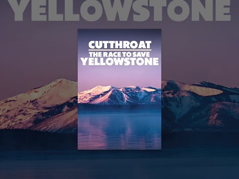 Cutthroat: The Race to Save Yellowstone