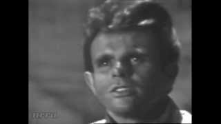 Del Shannon &quot;Stranger in Town&quot;