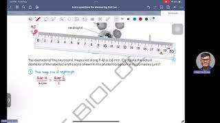 Question 6 Solution - Microscopy and Cell Measuring