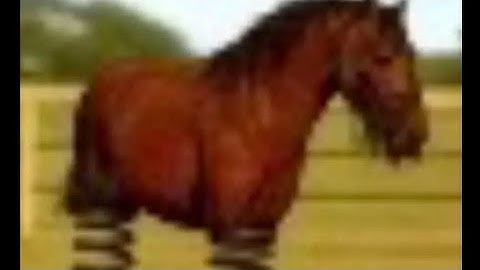 Crazy run with # 1 Weekly Challenge 19.10.25 - 26.11.25 in 15.54 ft. Ghost Balazs