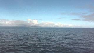 Two Humpback whales in the Lynn Canal
