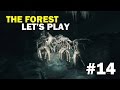 [FR] The Forest Ep14 - Partouze dans les cavernes + Fétichisme des pendaison