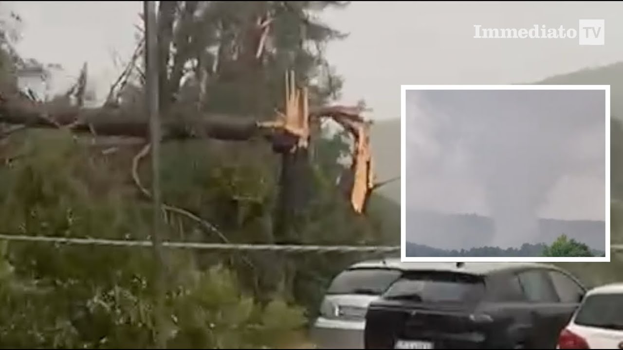 TROMBA D'ARIA A PESCHICI, ALBERI DISTRUTTI E PAURA TRA I TURISTI