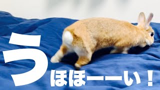 辛いあとには楽しいことが待っていた　#862