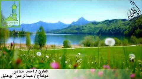 تلاوة جميلة للقارئ أحمد حمادي (سورة النبأ)