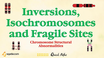 Chromosome Structural Abnormalities | Inversions, Isochromosomes and Fragile Sites | Genetics