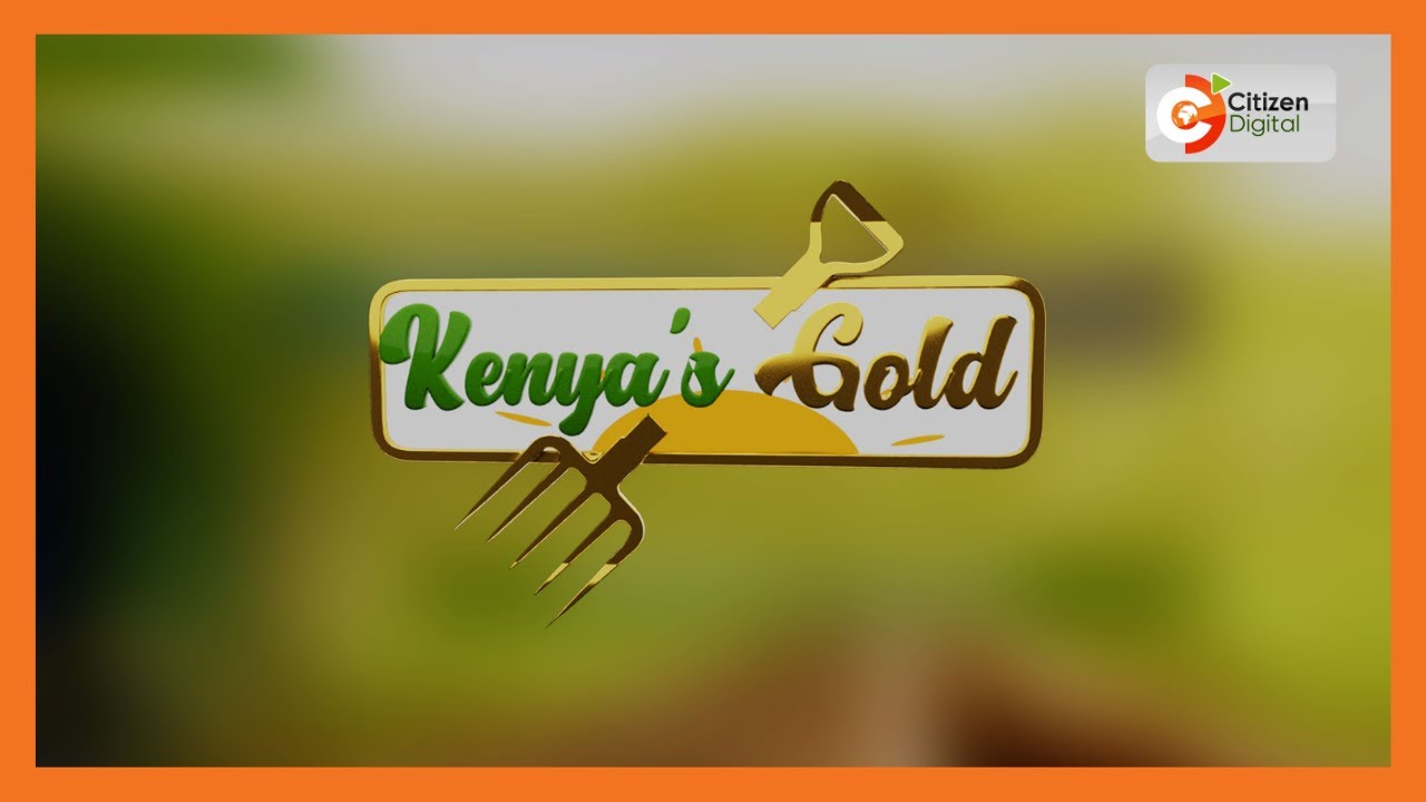 Kenya's Gold | Gikomba Fish Market as the biggest fish market in EA