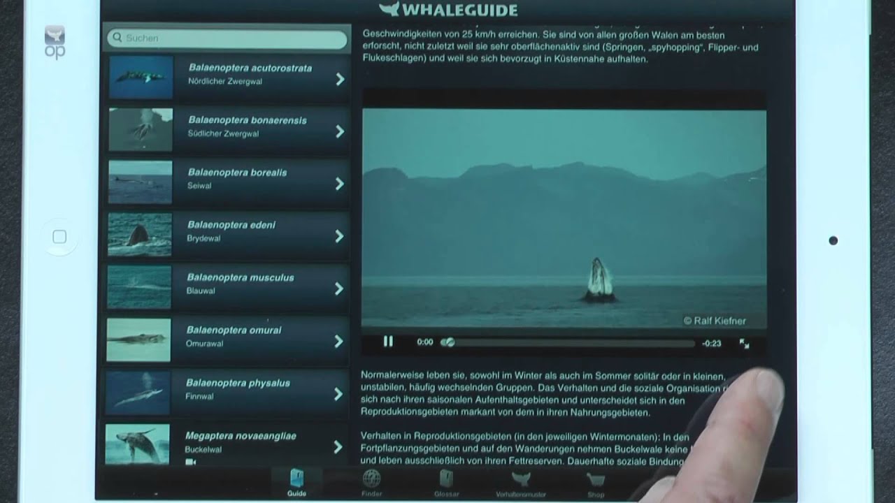 Whaleguide App _ deutsch