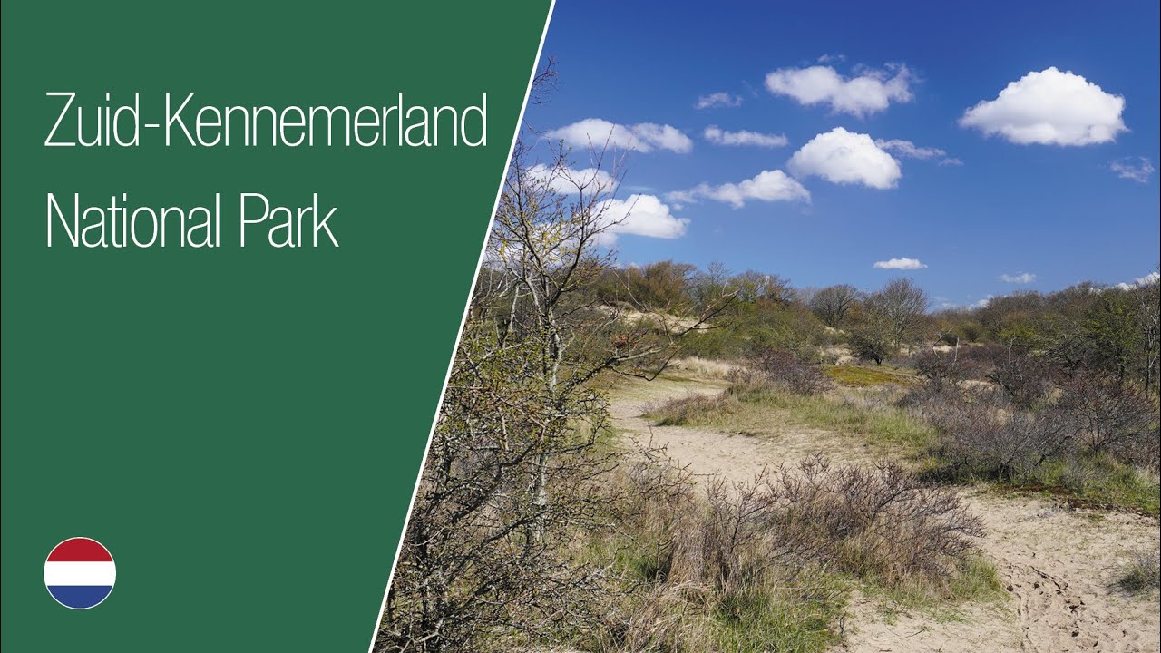Zuid-Kennemerland National Park | Travel the Netherlands | Fern