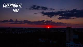 The Beauty Of Chernobyl. Animals Of The Radioactive Zone.