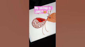 Drawing super lovely shrimp 🤯😭 #artworkout #drawing #digitalart