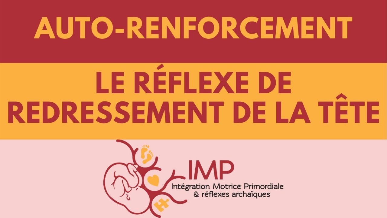 Le réflexe de redressement de la tête - Auto renforcement - Intégration Motrice Primordiale IMP