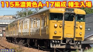 【JR西日本 115系濃黄色 A-17編成 幡生入場回送 2024.5.9】