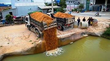 Start a Perfectly New Project! Landfill Delete Flooded Pond by Skill Bulldozer Push Soil with Truck