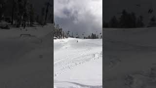 IMG 9118