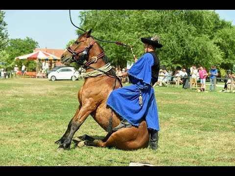 Losó Balázs 2019 - Mulatós mix - Bodnár Rebekától Dénesi Lacinak