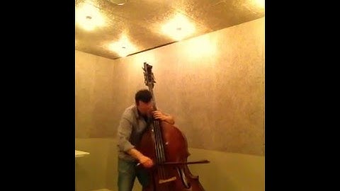 DITTERSDORF ORIGINAL FLEXOCORD PIRASTRO Damián Rubido González,bass Follow links below for+strings