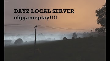 Enable cfggameplay on local DayZ server
