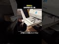 驚異的な反射神経を持つ猫