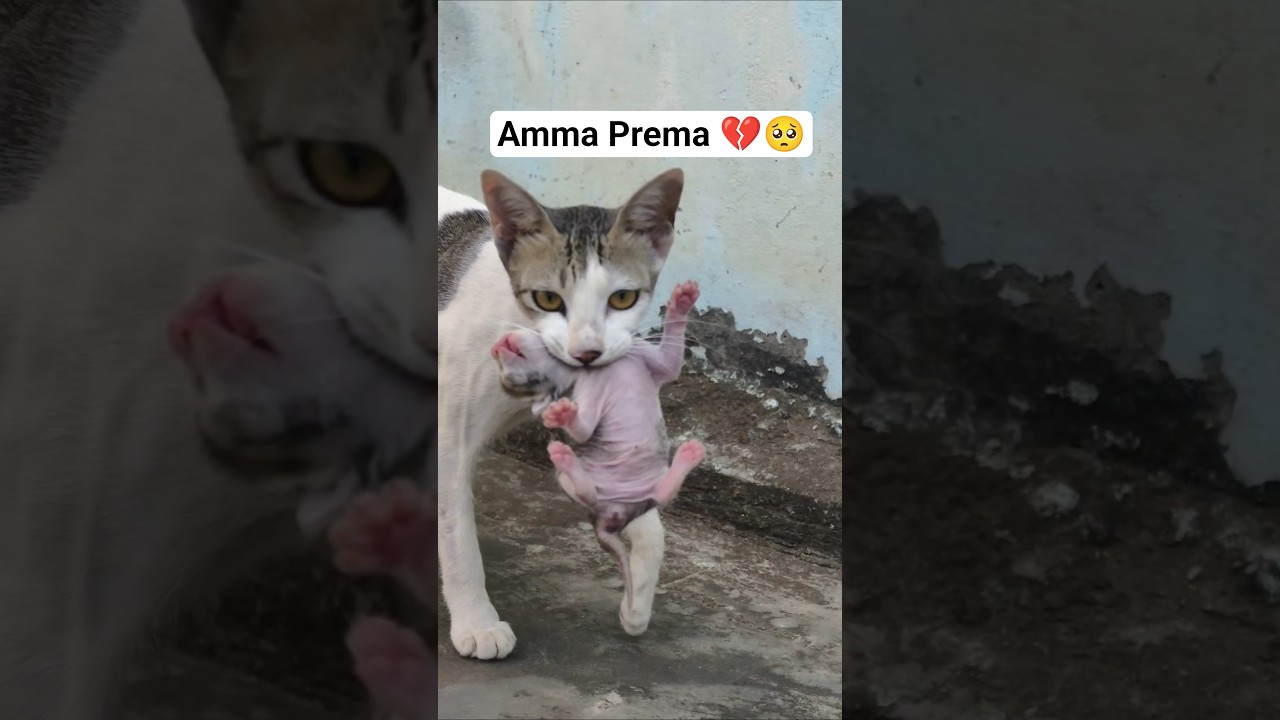 Amma \u0026 Baby Drawing for Tharani - Heartwarming Mother and Child Art, image size:1280x720