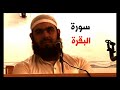 سوره بقره شیخ ولید مهصص