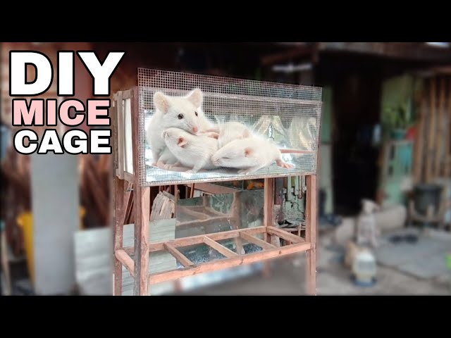 Information on DIY-ing a Mouse Enclosure 🐭 DIY Mouse Cages 🐭 : r/PetMice