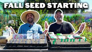 Starting Seeds For FALL! 