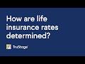 How are life insurance rates determined?